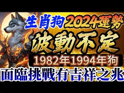 1982屬狗幸運數字|82年屬狗的吉祥數字 帶來機遇和情感運勢